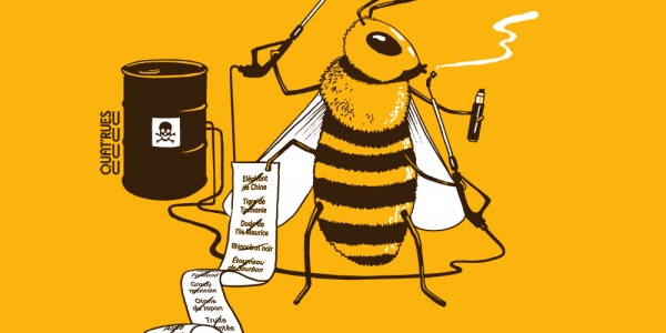 Do you wanna bee the next ? - Ou pourquoi les pollinisateurs sont-ils indispensables ?